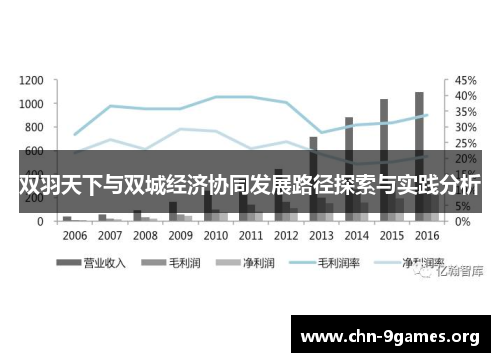 双羽天下与双城经济协同发展路径探索与实践分析